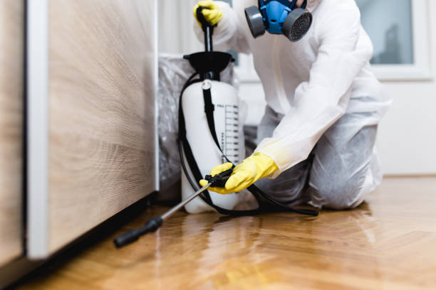 Trusted Twin Lakes, CO Pest Control Experts
