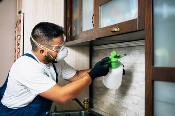 Flea Control Services in Twin Lakes, CO