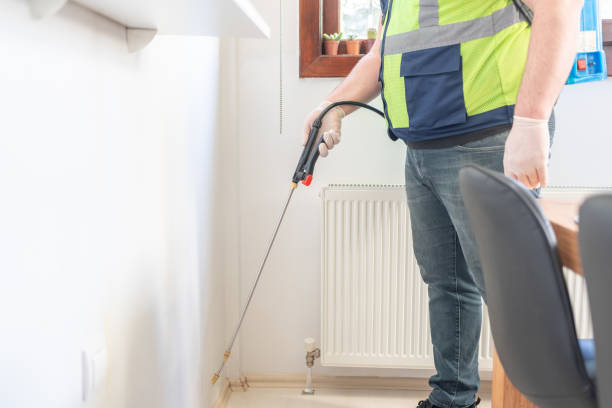 Best Ant Control Services  in Twin Lakes, CO