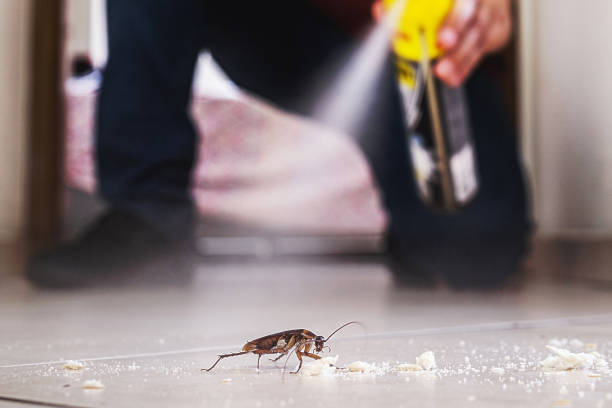 Best Best Pest Control Companies  in Twin Lakes, CO
