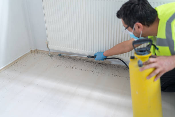 Best Bed Bug Extermination  in Twin Lakes, CO