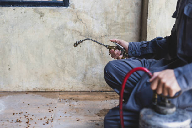 Best Pest Control Near Me  in Twin Lakes, CO