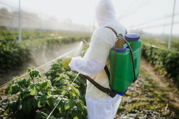 Best Affordable Pest Control Services  in Twin Lakes, CO